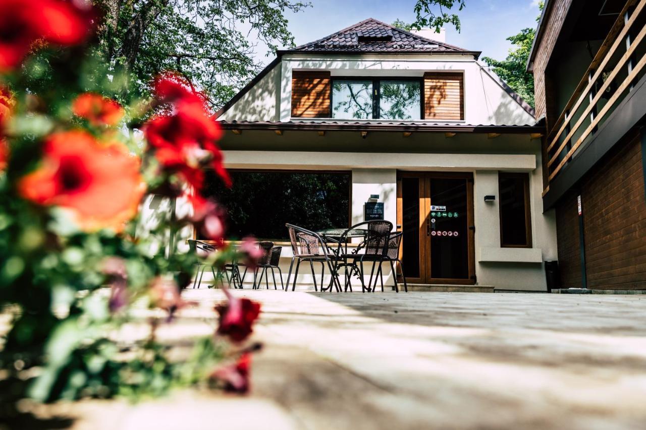 Mer Guest House B&B Brašov Exteriér fotografie